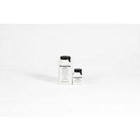 Gesso 300g multi langues (Lot de 24) - Image 4