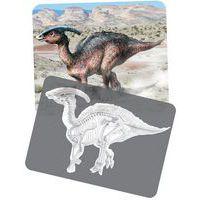 Cartes et radiographies dinosaures (24 pièces) - Image 3