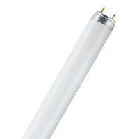 Tube fluorescent - Lumilux T8 18 W - Osram - Image principale