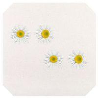 Presse à fleurs et à feuilles - Image 5