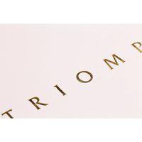 Triomphe GOLD carnet blanc piqûre textile 14,8x21cm 96p ligné papier blanc 90g - Image 2