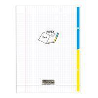 8000 POLYPRO, 2 INDEX Cahier piqué incolore 24x32cm 96p séyès 90g - Image principale