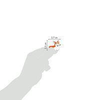 Cooky, Sach 1 pl 7,5x12cm, Animaux domestiques - Image 4