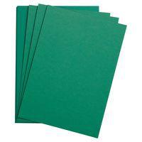 Paquet 24 feuilles Etival Color 160g 50x65 vert foncé - Image principale