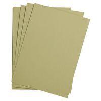 Paquet 24 feuilles Etival Color  160g 50x65 vert amande - Image principale