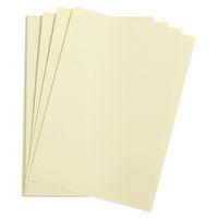 Paquet 24 feuilles Etival Color 160g 50x65 tilleul - Image principale