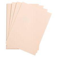 Paquet 24 feuilles Etival Color 160g 50x65 rose pâle - Image principale