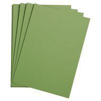 Paquet 24 feuilles Etival Color 160g 50x65 vert pomme - Image principale