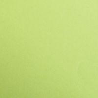 Paquet Maya 50x70cm 25 feuilles 120g vert mousse - Image principale