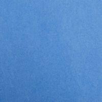 Paquet Maya 50x70cm 25 feuilles 120g bleu roi - Image principale