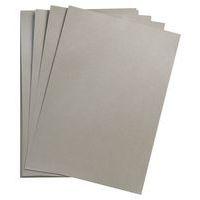 Paquet Maya 50x70cm 25 feuilles 120g argent - Image principale