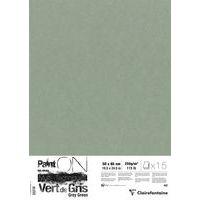 Paint'On Vert de Gris pqt 15 feuilles 50x65 250g - Image principale