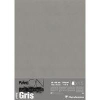 15 feuilles Paint'On Gris 50x65 250g - Image principale