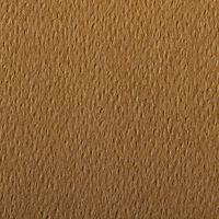 Paquet 24 feuilles Etival Color 160g 50x65 havane - Image 2