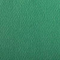Paquet 24 feuilles Etival Color 160g 50x65 vert foncé - Image 2