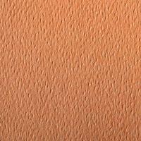 Paquet 24 feuilles Etival Color 160g 50x65 saumon - Image 2