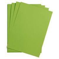 Paquet Maya 50x70cm 25 feuilles 120g vert mousse - Image 2