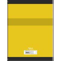 CONQUERANT Cahier de Travaux Pratiques 24x32cm Grands Carreaux Seyès/Uni Blanc 96 Pages Agrafées Couverture Ca - Image 5