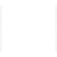 Feuilles listing blanc 380x12 1pli bandes détachables 70g - Image principale