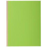 Lot de 10 paq. 10 chem. à soufflet dos toilé ROCK''S 24x32cm vert - Image principale