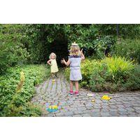 Course d'oiseaux - Image principale