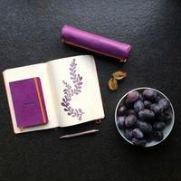 Rhodiarama carnet souple violet A6 144 pages ligné 90g - Image 2