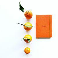 Rhodiarama carnet souple orange A5 160 pages ligné 90g - Image 2