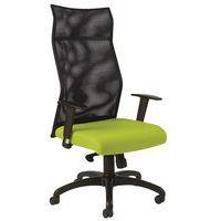 Fauteuil HODE HD dos résille Noir Acc Reg assise Vert - Image principale