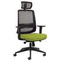 Fauteuil NOVY ECO HD GGI - Image principale