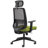 Fauteuil NOVY ECO HD GGI - Image 4