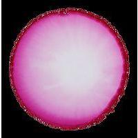 Cernit encre à l'alcool 20 ml Magenta - Image 2