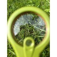 Méga loupe - Image 2