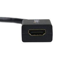 Adaptateur/Convertisseur vidéo DisplayPort vers HDMI - M/F - 1920x1200/1080p - Image 2