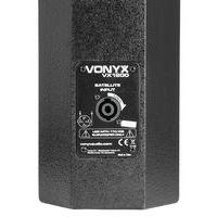 Système Full-range 2 voies - VX1200 - Image 4