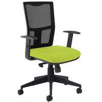 Fauteuil Ritz accoudoir réglable dossier résille noire - Manutan Expert - Image principale