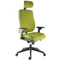 Fauteuil Harmonia accoudoir réglable+têtière Pistache - Image principale