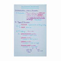 Chemise 3 rabats à élastiques +25 fiches bristol assorties - Image 2