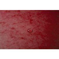 Chemise élastique et rabats A4 Rouge - Image 3