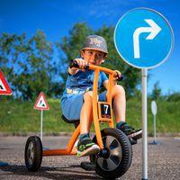 Grand tricycle gamme évolutive - Image 3