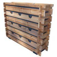 Mur végétal - Image 2