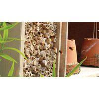 Tour hotel à insectes toiture plate Carre Serre - Image 2