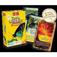 Défis nature - insectes - Image 2