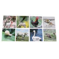 Mémo nature animaux - Image 3