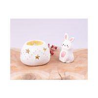 Pain autodurcissant 1KG pate blanche - Image 5