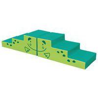 Chemin en mousse - grenouille - Image principale