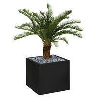 Bac bas métal O'CARRE Noir sur patins Palmier - Image principale