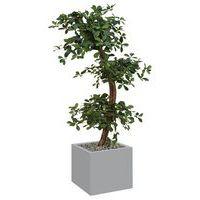 Bac bas métal O'CARRE Gris sur roulettes Bonzaî Haut - Image principale