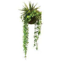 Plantes suspendues KYOTO FOUGERES EUCALYPTUS - Image principale