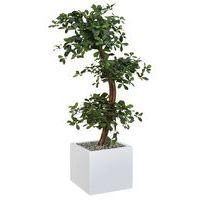 Bac bas métal O'CARRE sur patins Bonzaî haut - Image principale