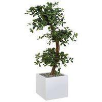 Bac bas métal O'CARRE sur roulettes Bonzaî haut - Image 3